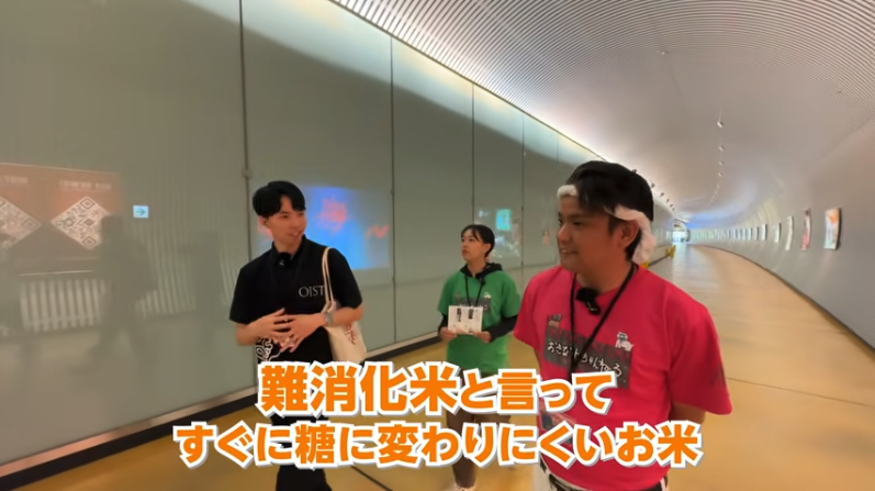 米の研究