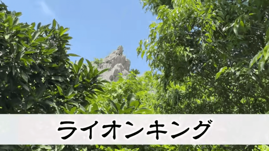 ライオンキング