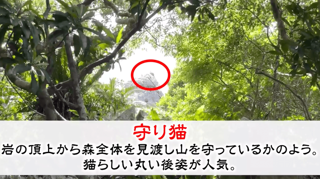 守り猫