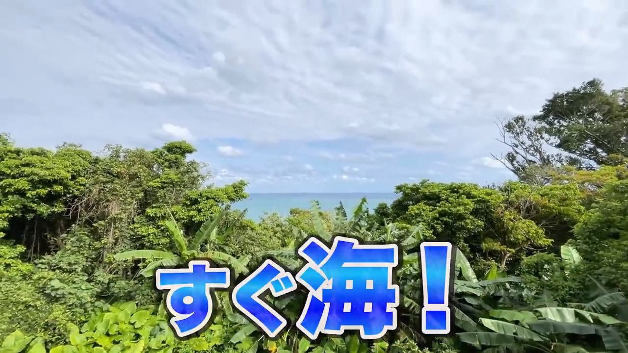 石畳の坂道の先から見下ろす、絵葉書のように美しい太平洋の絶景