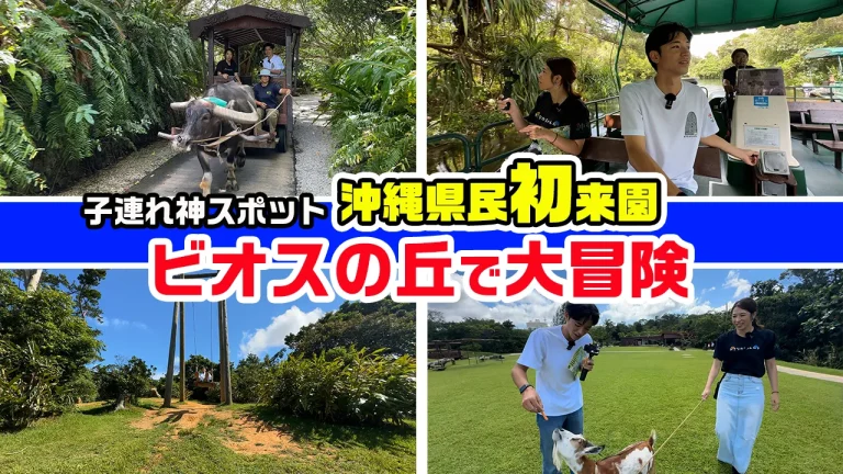 「ビオスの丘」8割が観光客！？ 沖縄県民が意外と行った事のないテーマパークに行ってみた。