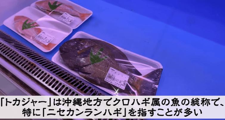 沖縄ならではの魚トカジャー