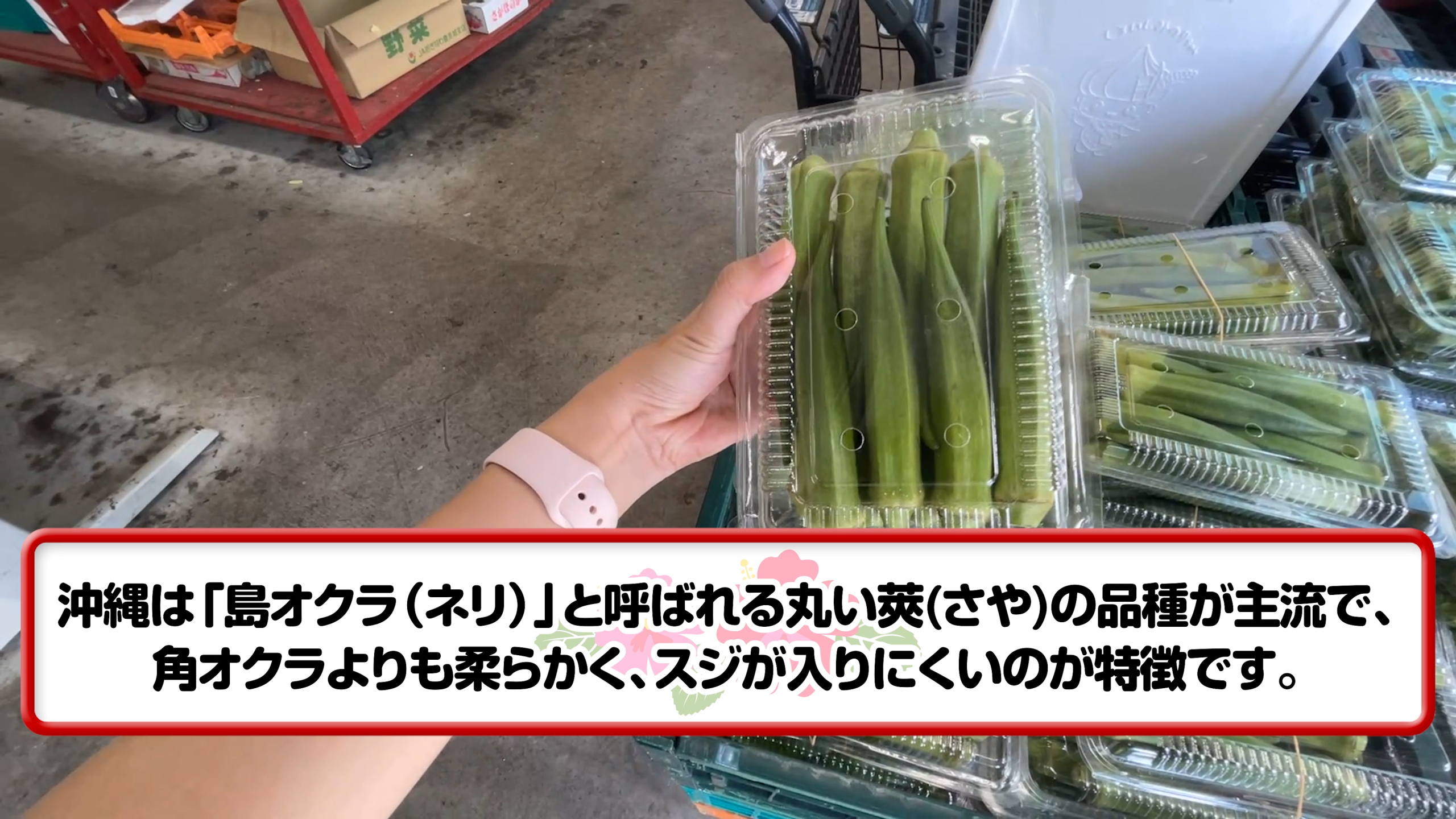 丸くて生でも美味しい島オクラと伊江島産島らっきょう