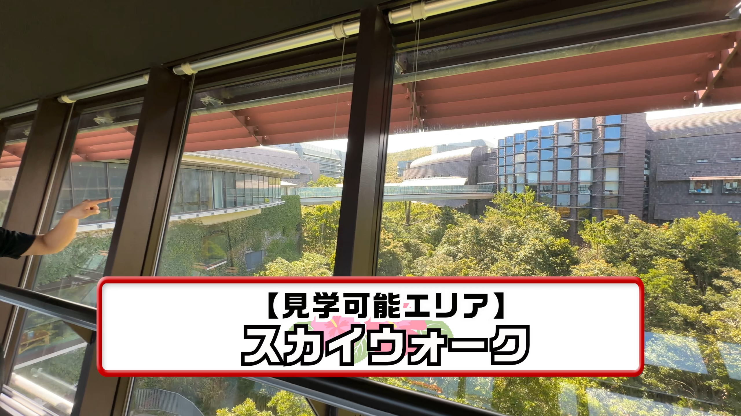 連絡橋「スカイウォーク」からの美しい景色と近未来的なキャンパス