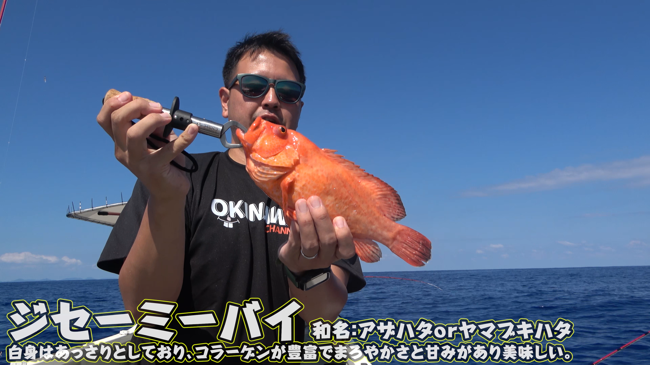 よな太郎さんが釣り上げた鮮やかな「ジセーミーバイ」