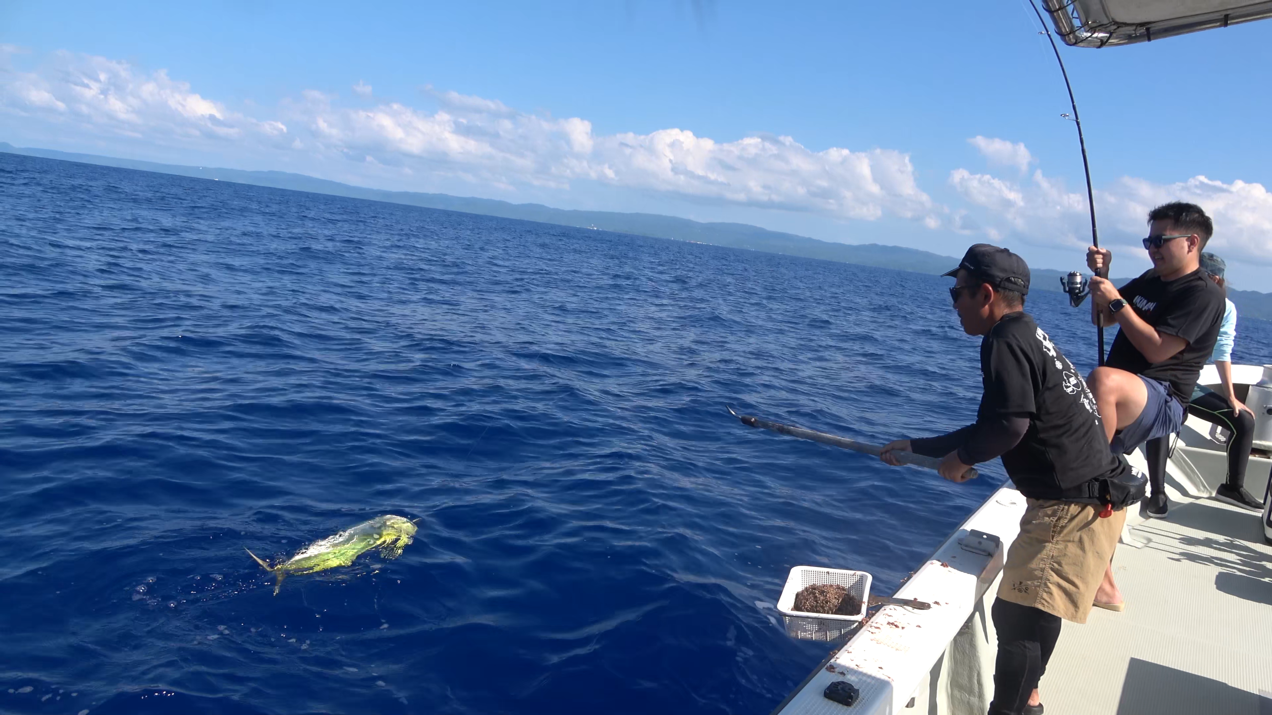 巨大シイラが海面を飛び跳ねて暴れる様子