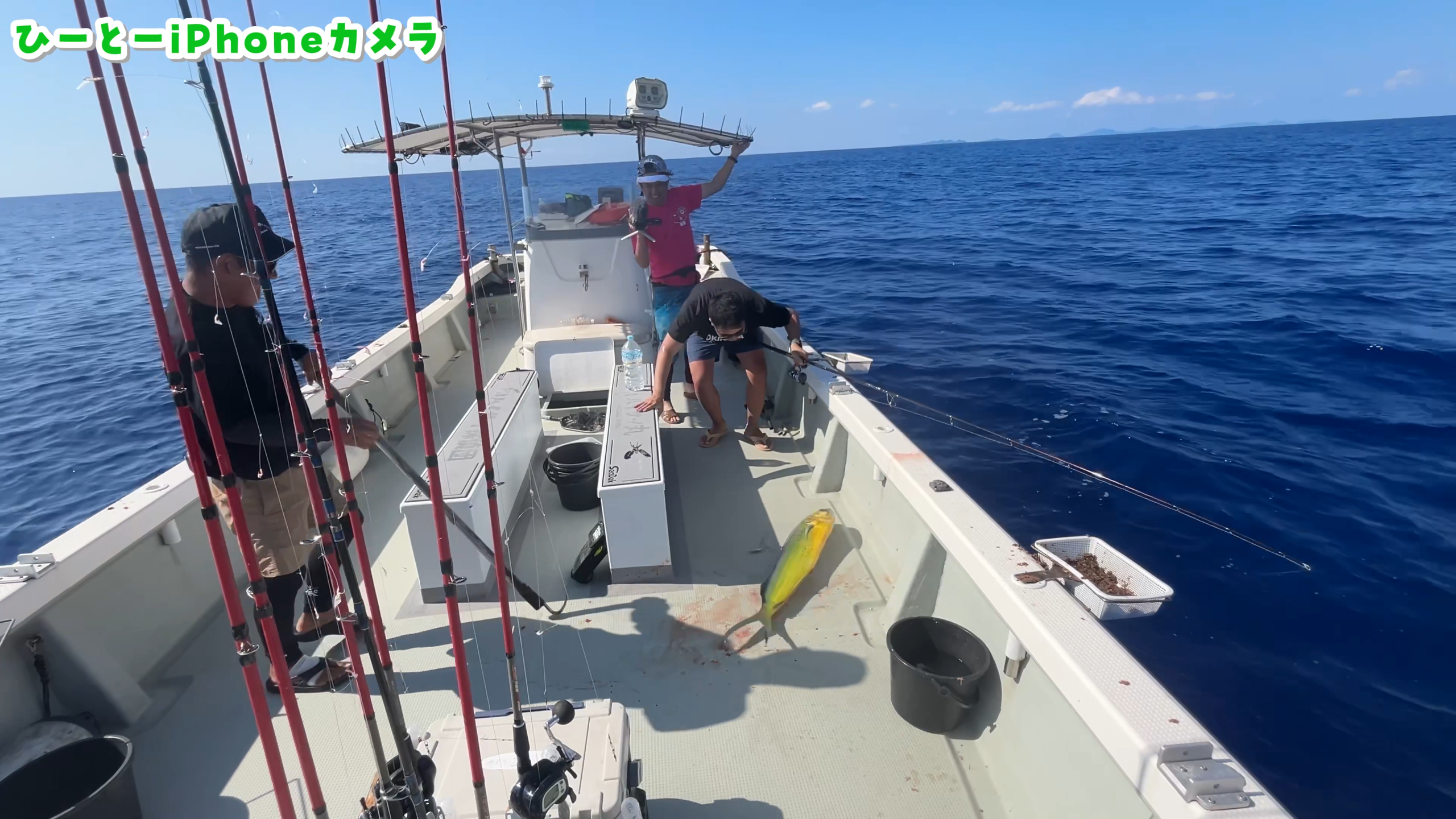 船長が見事に取り込んだ1m超えの巨大マンビカー