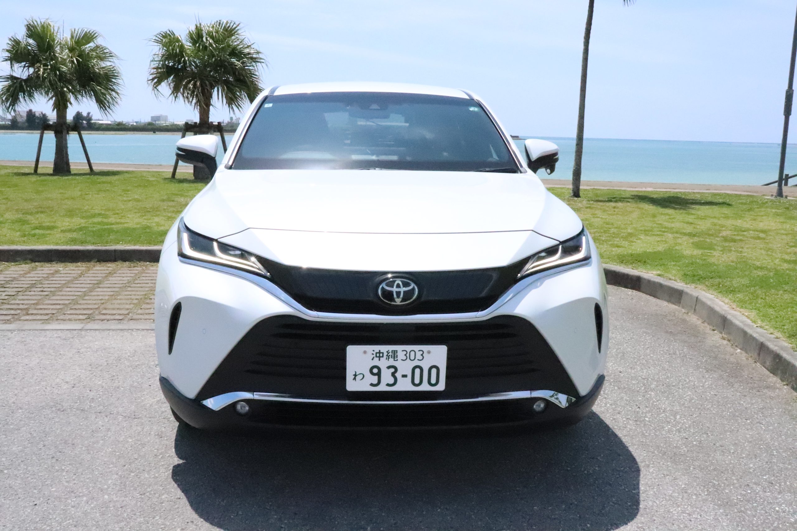 ハリアー リアビュー