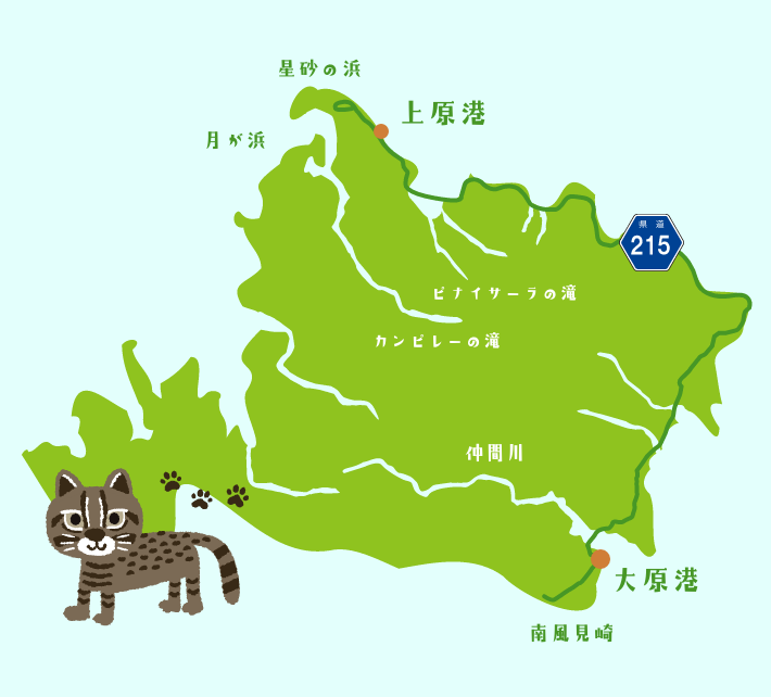 西表島でのレンタカーおすすめドライブコース